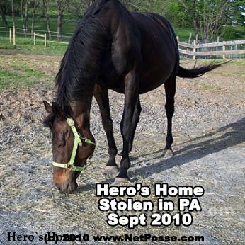 Hero`s Home